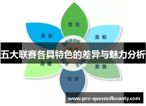 五大联赛各具特色的差异与魅力分析