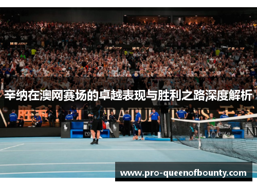 辛纳在澳网赛场的卓越表现与胜利之路深度解析 辛纳在澳网赛场的卓越表现与胜利之路深度解析