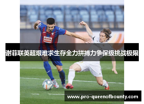 谢菲联英超艰难求生存全力拼搏力争保级挑战极限 谢菲联英超艰难求生存全力拼搏力争保级挑战极限