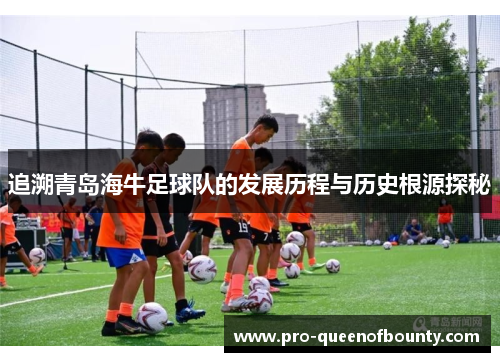 追溯青岛海牛足球队的发展历程与历史根源探秘 追溯青岛海牛足球队的发展历程与历史根源探秘